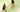 Testing Alt