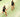 Testing Alt