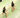 Testing Alt